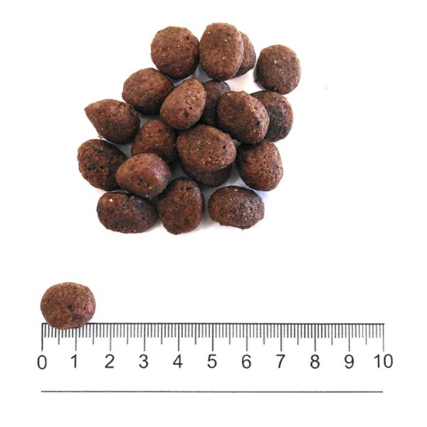 Prolife® Grain Free Sensitive Adult Medium/Large Manzo e Patate per Cani 10Kg - Forma e dimensione crocchetta