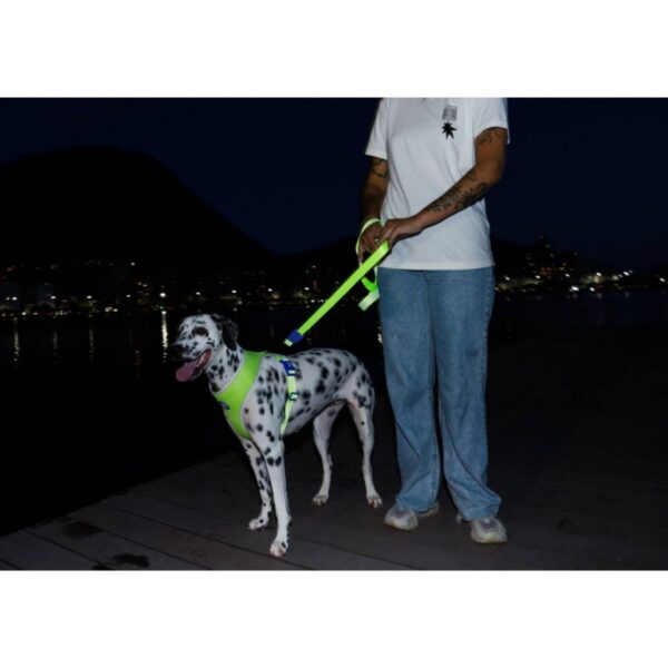 Zee.Dog Pettorina Regolabile Air Mesh per Cani Nox Lumen - Riflettente