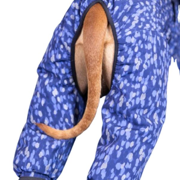 Paikka Giacca Invernale per Cani Impermeabile con Imbottitura Blu