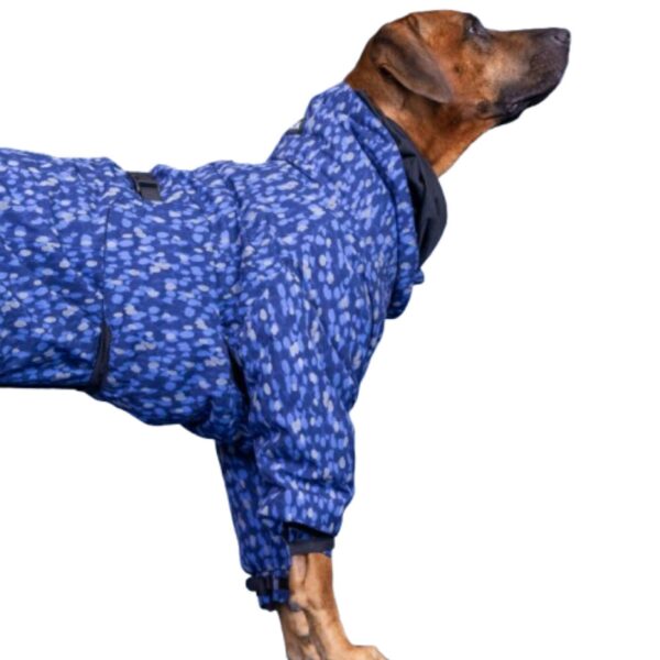 Paikka Giacca Invernale per Cani Impermeabile con Imbottitura Blu