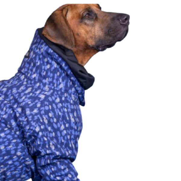 Paikka Giacca Invernale per Cani Impermeabile con Imbottitura Blu