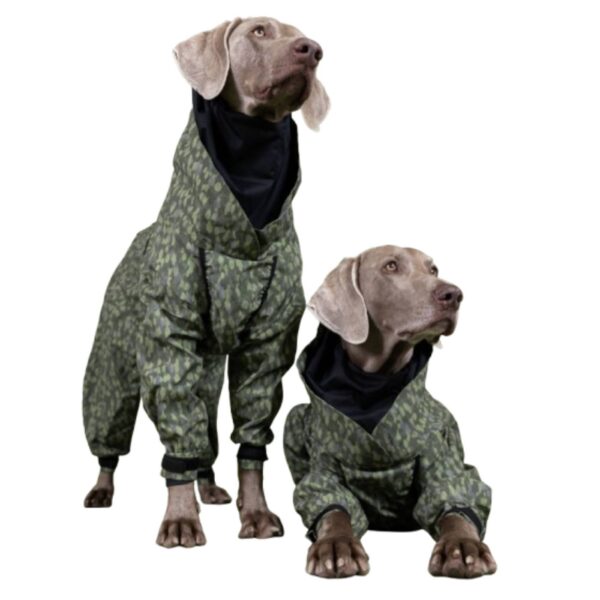 Paikka Tuta Impermeabile per Cani con Tessuto Riflettente Verde