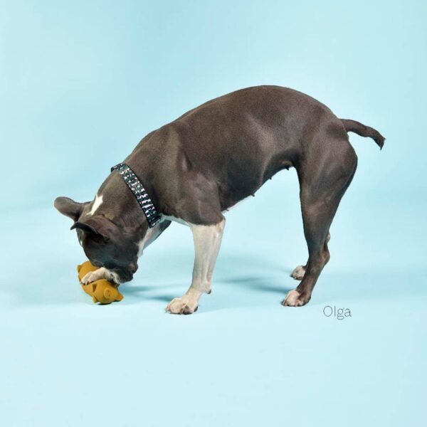 United Pets Gioco in Lattice Naturale per Cani Wursty Pigs
