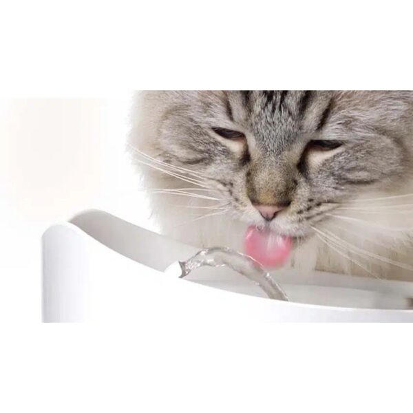 Catit Fontana Automatica per Gatti Pixi Verde 2,5 L
