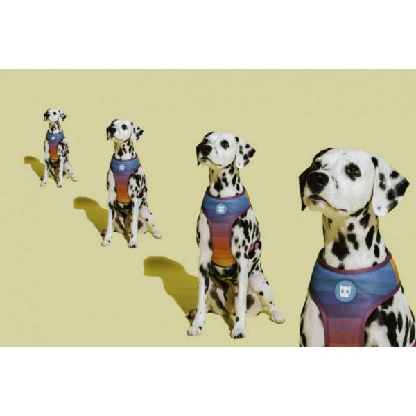 zee.dog pettorina per cani air mesh regolabile prisma