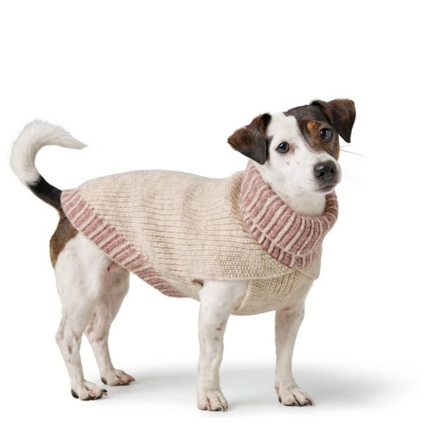 Hunter Maglioncino Pullover per Cani Odense con Cappello Crema Rosa