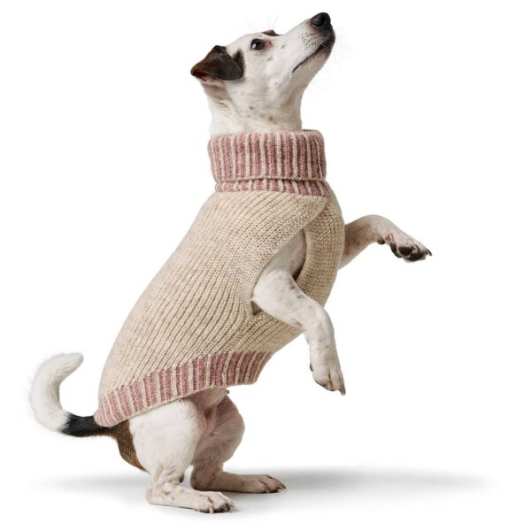 Hunter Maglioncino Pullover per Cani Odense con Cappello Crema Rosa