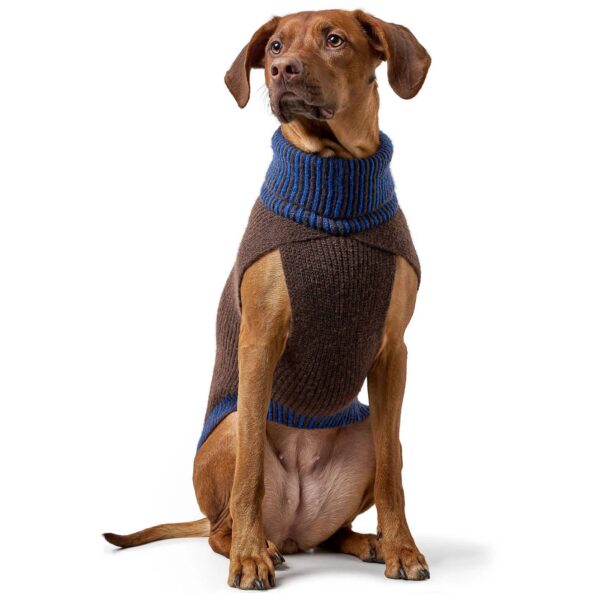 Hunter Maglioncino Pullover per Cani Odense con Cappello Marrone Blu
