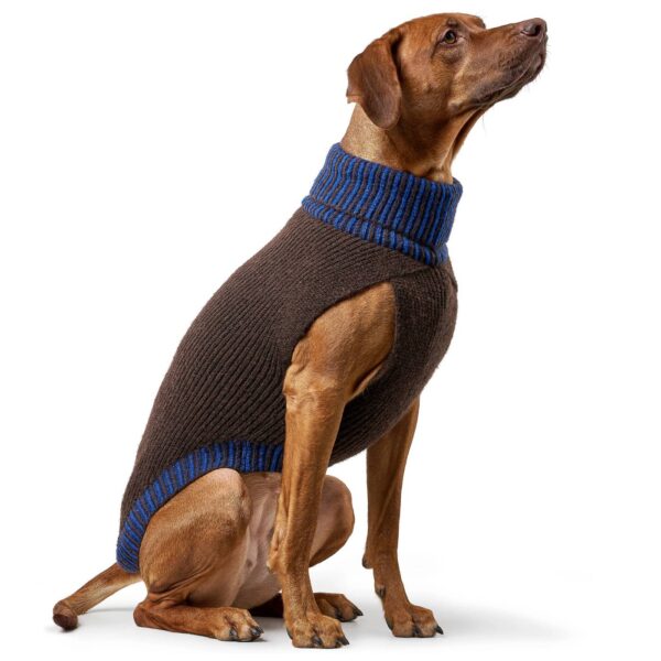 Hunter Maglioncino Pullover per Cani Odense con Cappello Marrone Blu