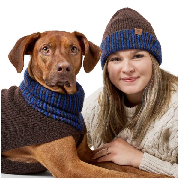 Hunter Maglioncino Pullover per Cani Odense con Cappello Marrone Blu