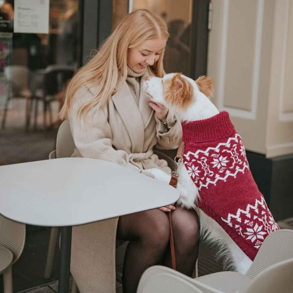 Hunter Maglioncino Pullover per Cani Birka Rosso