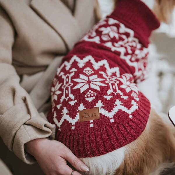 Hunter Maglioncino Pullover per Cani Birka Rosso