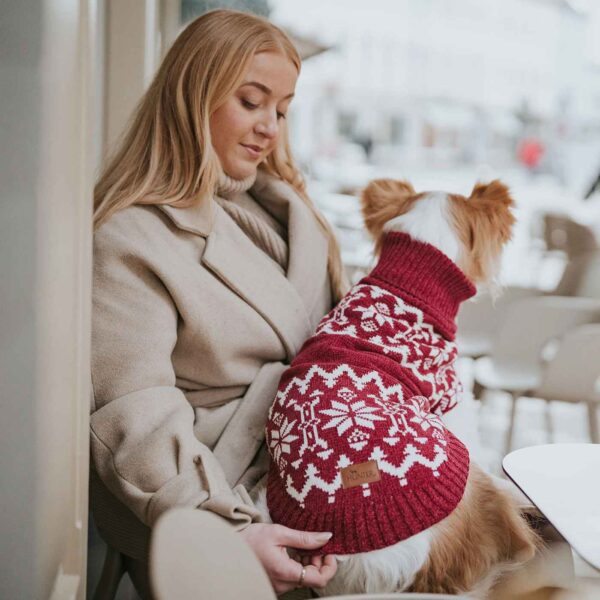 Hunter Maglioncino Pullover per Cani Birka Rosso