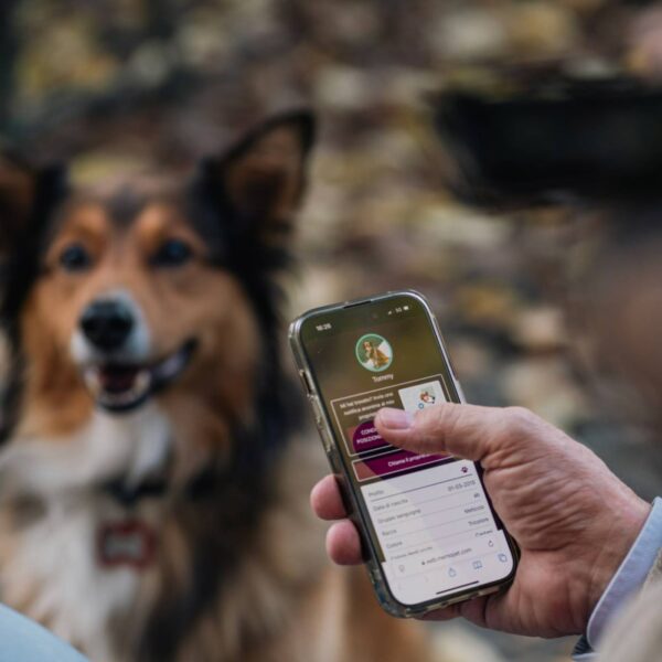 MyFamily Medaglietta per Cani QR Code Hushtag Cerchio Alluminio Nero
