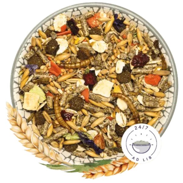 Bunny Sogno Basic per Criceti 400 g