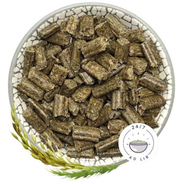 Bunny Sogno per Conigli Basic 1,5 Kg