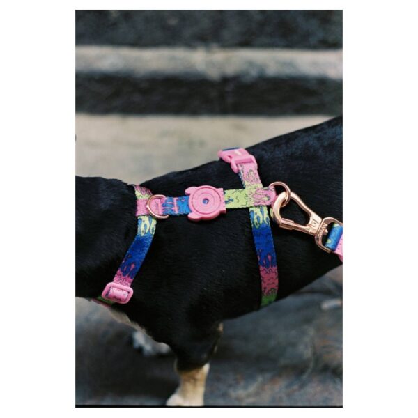 Zee.Dog Pettorina ad H per Cani Melted