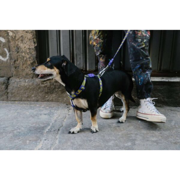 Zee.Dog Pettorina ad H per Cani Zmiley
