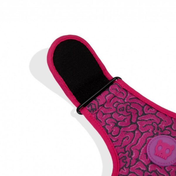 Zee.Dog Pettorina Air Mesh per Cani Regolabile Brain - Velcro