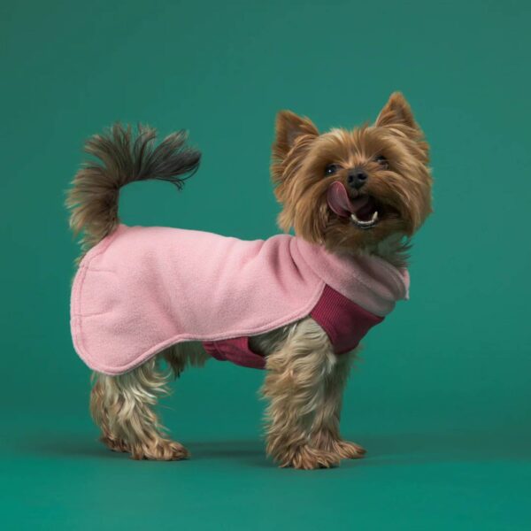 Paikka Maglia per Cani Ecologica in Seawool Rosa