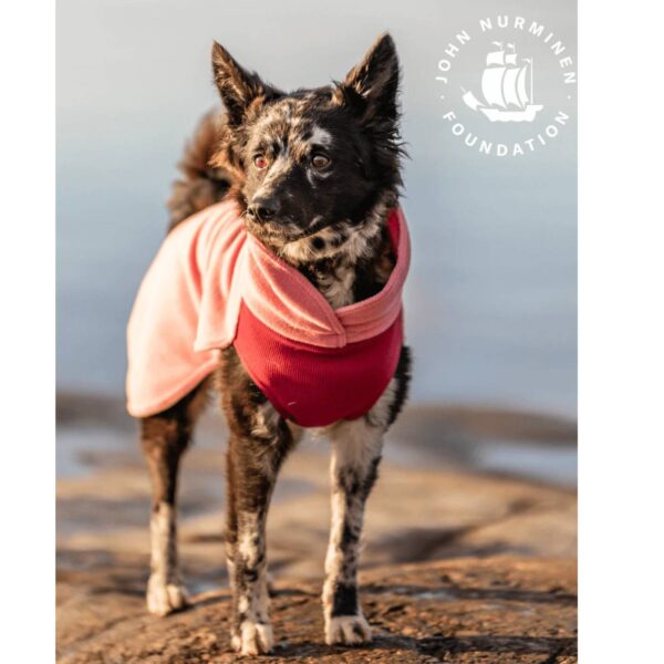Paikka Maglia per Cani Ecologica in Seawool Rosa