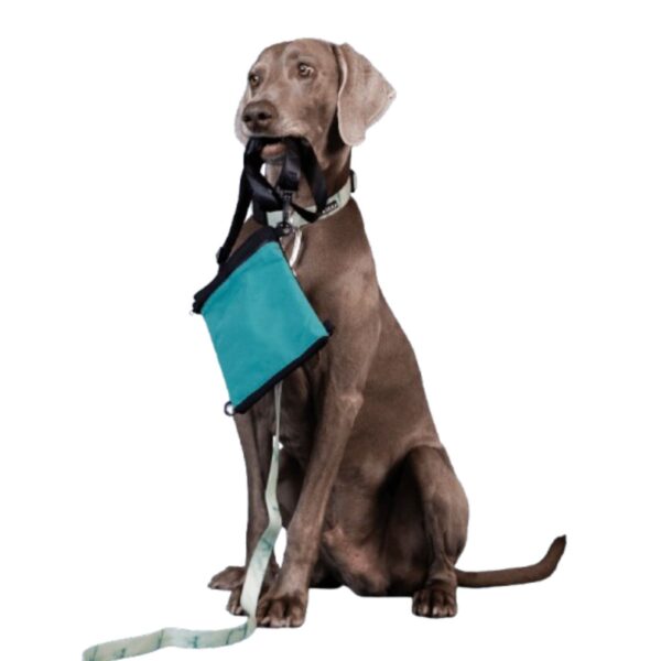 Paikka Borsa Porta Dolcetti per Cani Alta Visibilità Smeraldo