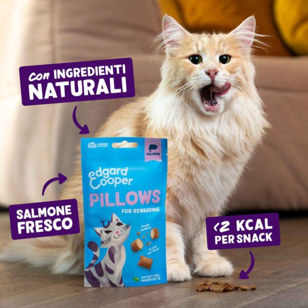 Edgard&Cooper Snack per Gatti Pillows Fagottini Ripieni al Salmone 60 g.
