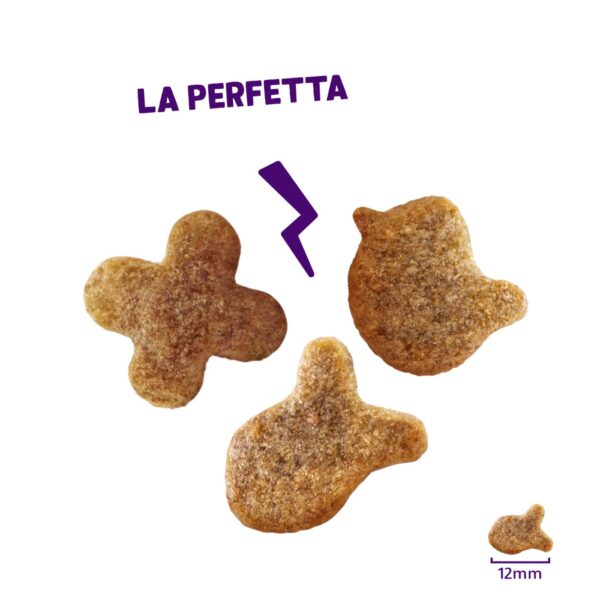 Edgard&Cooper Biscottini per Gatti Crunchies al Salmone 50 g.