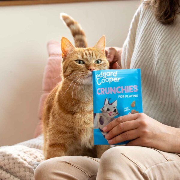 Edgard&Cooper Biscottini per Gatti Crunchies al Salmone 50 g.