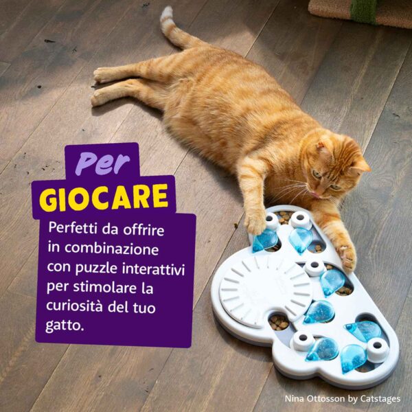 Edgard&Cooper Biscottini per Gatti Crunchies al Salmone 50 g.
