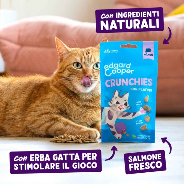 Edgard&Cooper Biscottini per Gatti Crunchies al Salmone 50 g.