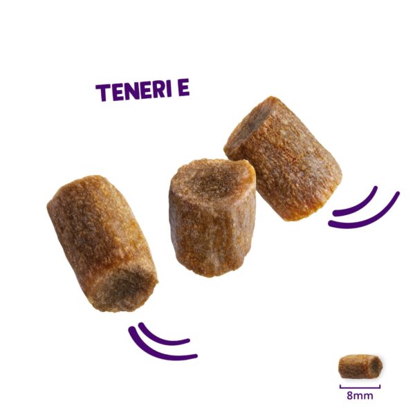 1 confezione x 45 g - Edgard&Cooper Snack Morbidi per Gatti Rolls al Salmone