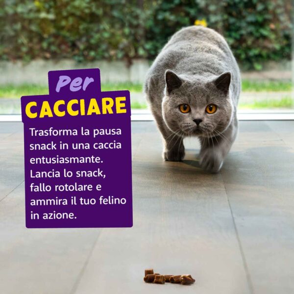 1 confezione x 45 g - Edgard&Cooper Snack Morbidi per Gatti Rolls al Salmone