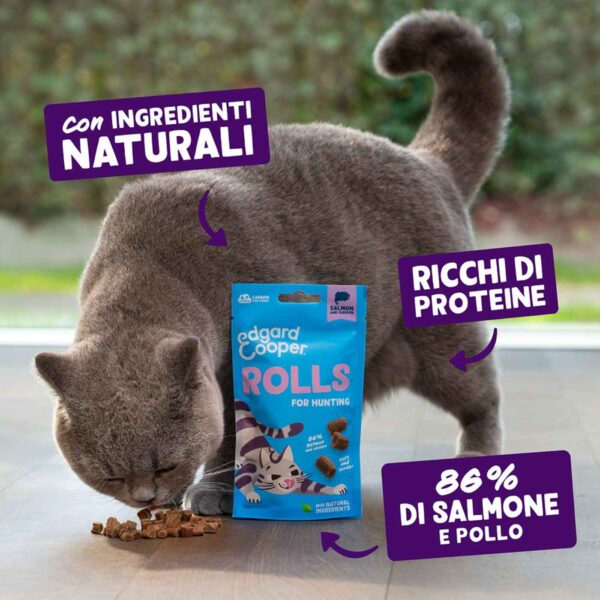 1 confezione x 45 g - Edgard&Cooper Snack Morbidi per Gatti Rolls al Salmone