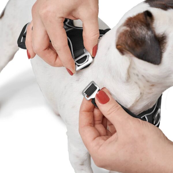 Hunter Pettorina per Cani Divo Up Nera
