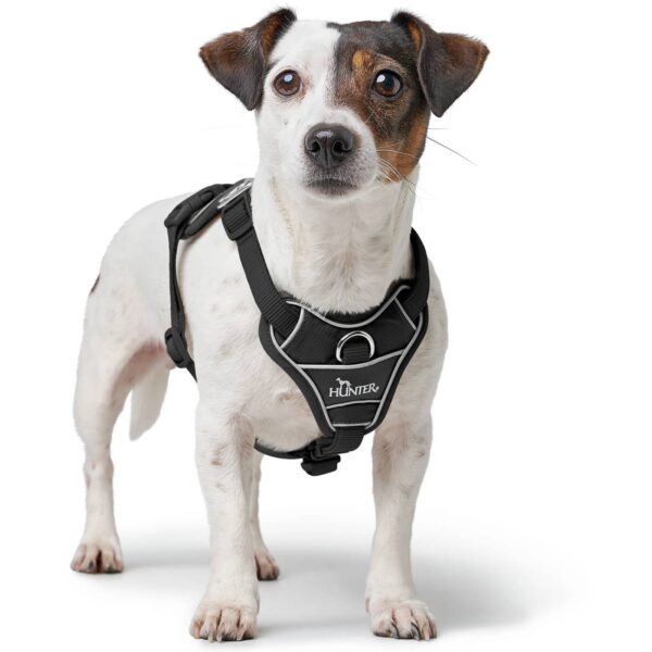 Hunter Pettorina per Cani Divo Up Nera