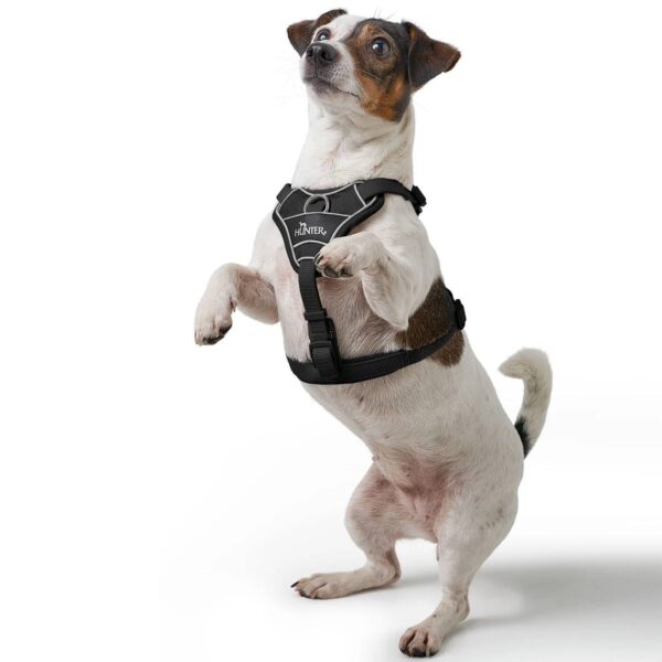Hunter Pettorina per Cani Divo Up Nera