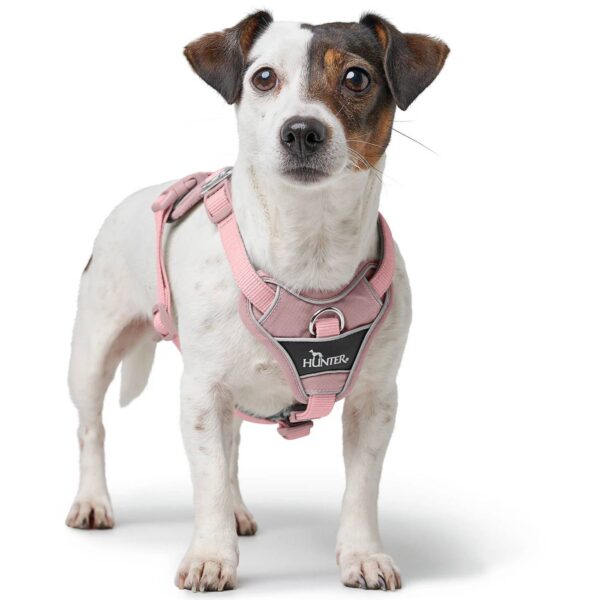 Hunter Pettorina per Cani Divo Up Rosa Antico