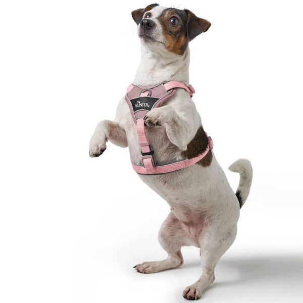 Hunter Pettorina per Cani Divo Up Rosa Antico