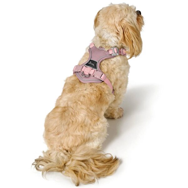 Hunter Pettorina per Cani Divo Up Rosa Antico