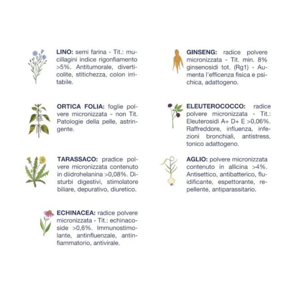 Vet Line Umido Pollo e Patate per Cani Adulti 400g VetLine- Erbe officinali