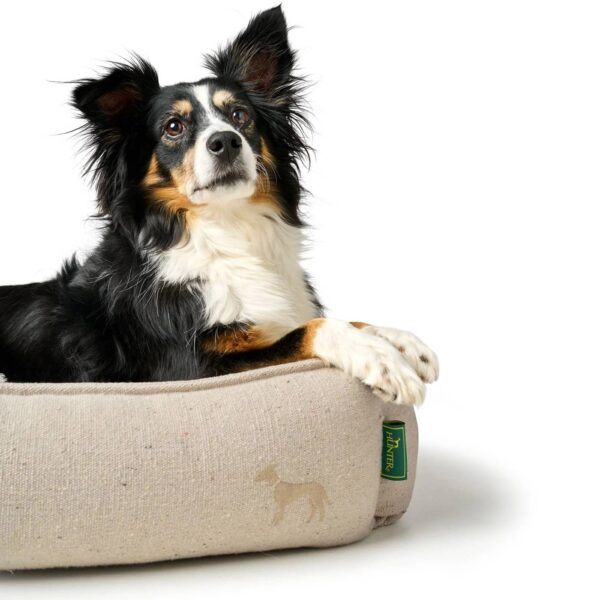 Hunter Divano per Cani Belluno Color Crema