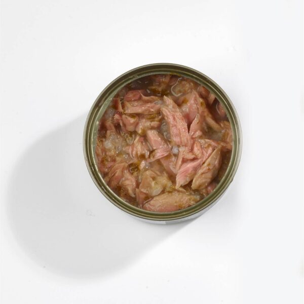 10 x 70 g Fish4Cats Finest Filetti di Tonno con Alghe per Gatti