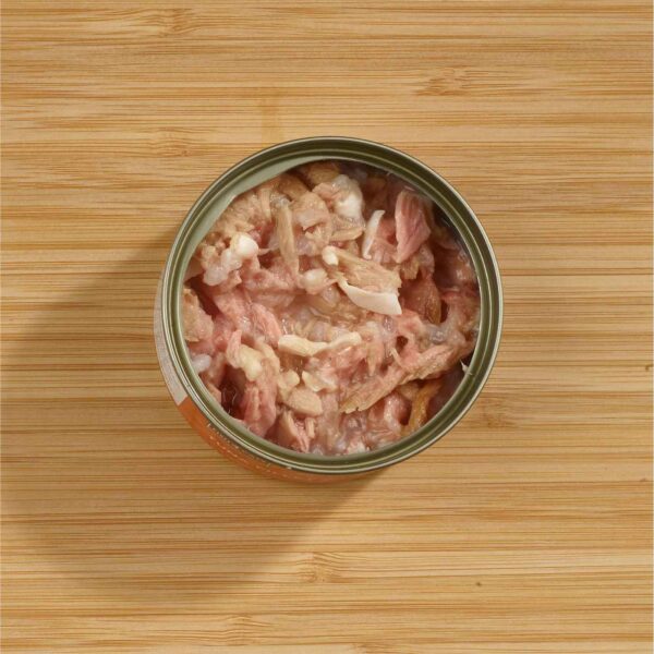 10 x 70 g fish4cats finest filetti di tonno con calamari per gatti