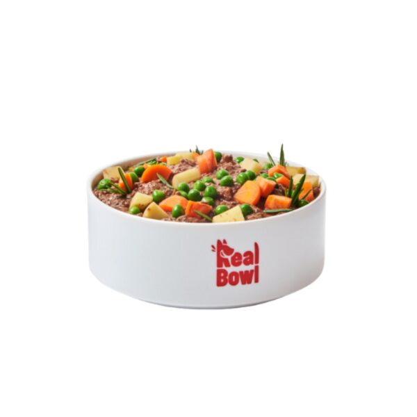 Real Bowl Alimento Completo Fresco Cotto per Cani al Manzo Senza Cereali Grain Free