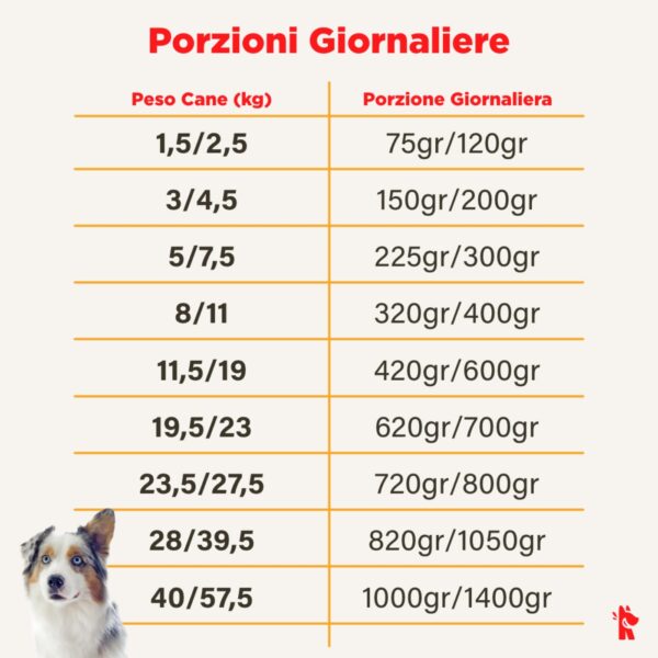 real bowl alimento completo fresco cotto per cani al manzo con carote senza cereali grain free