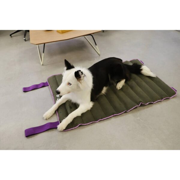 Zee.Dog Tappeto Materassino per Cani Air Mat Verde