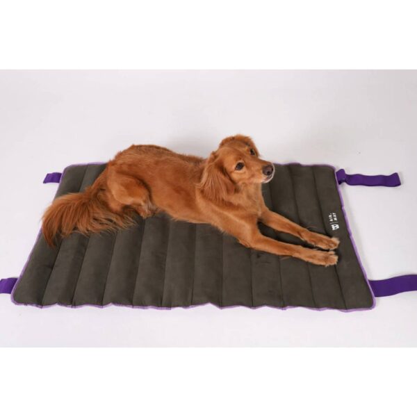 Zee.Dog Tappeto Materassino per Cani Air Mat Verde