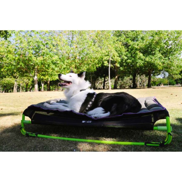 Zee.Dog Tappeto Materassino per Cani Air Mat Verde