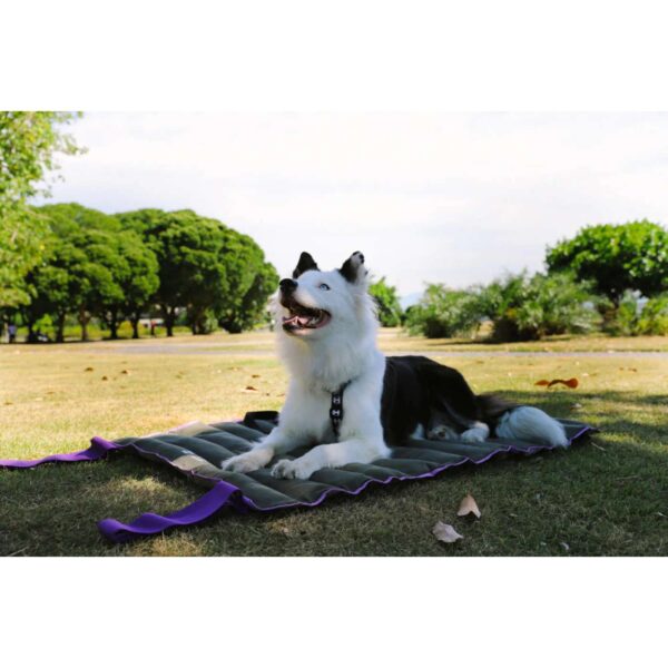 Zee.Dog Tappeto Materassino per Cani Air Mat Verde